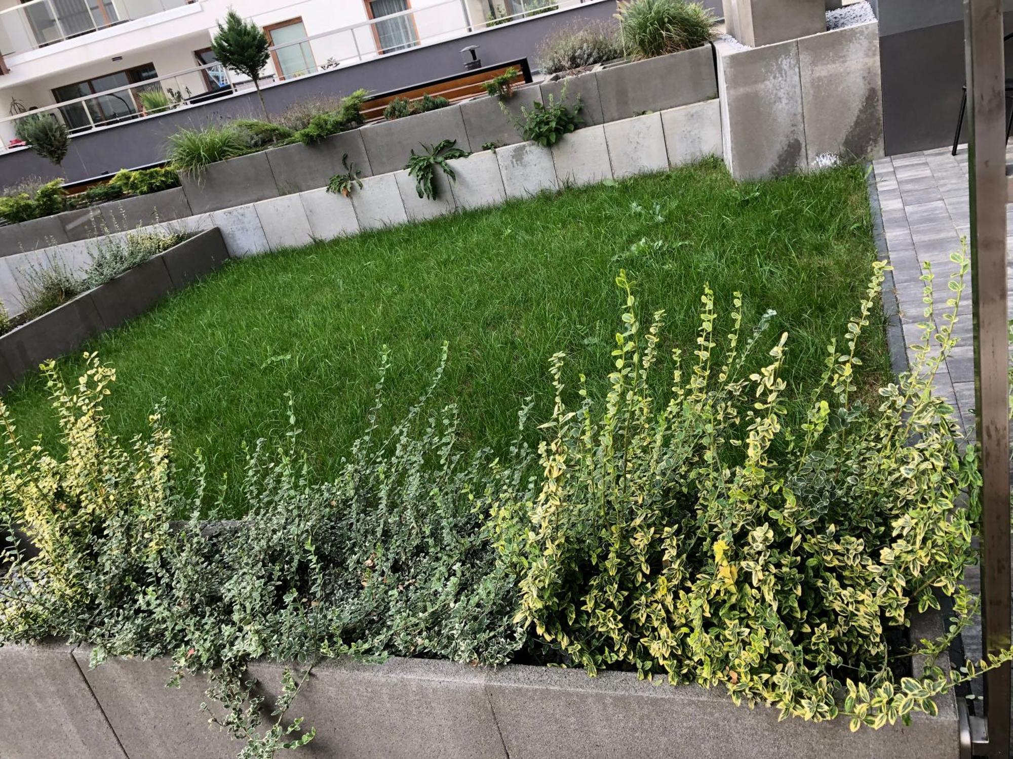 Komfortowe Apartamenty Kielce Klonowa ,Ogrodek, Garaz Podziemny, Samodzielne Wejscie Na Kod 24H Dış mekan fotoğraf